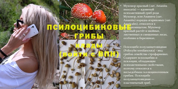 MESCALINE Майский