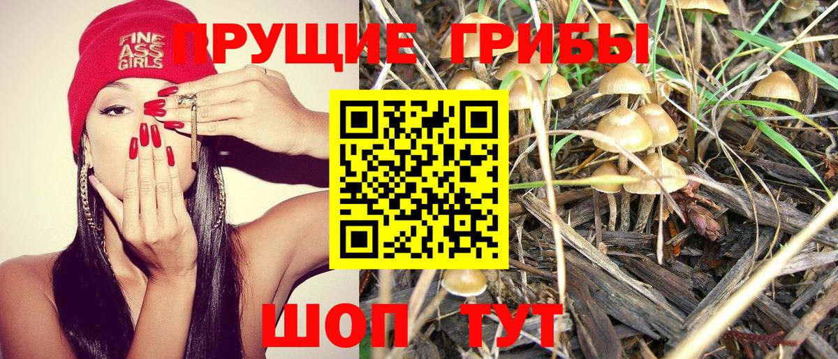 Галлюциногенные грибы Cubensis Архангельск