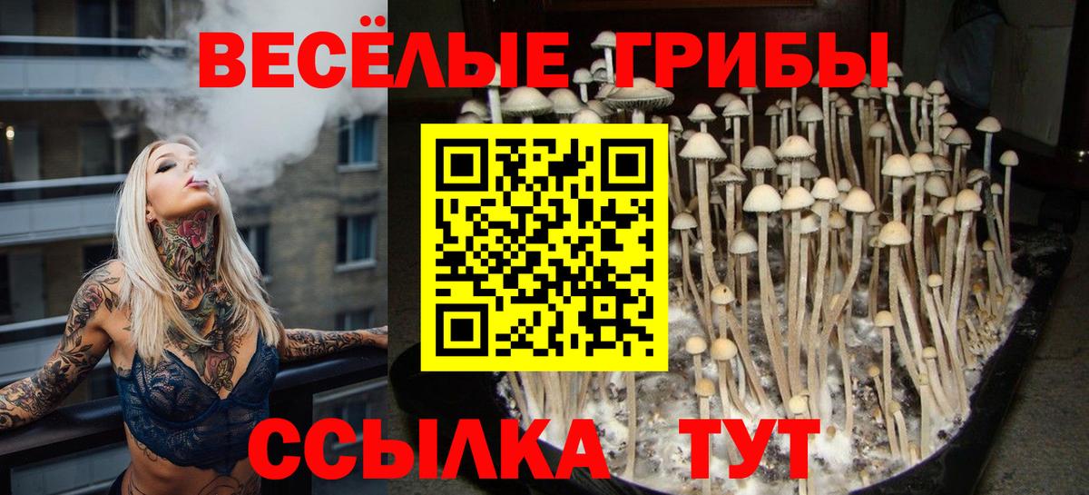 Галлюциногенные грибы прущие грибы  Архангельск  Псилоцибиновые грибы ЛСД 