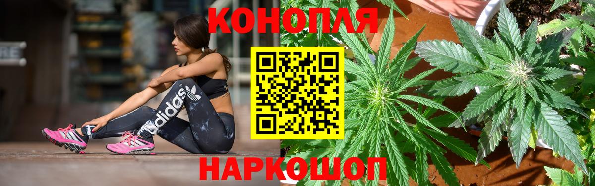 Конопля VHQ  Вход с VPN  Бошки Шишки семена  Архангельск  Конопля White Widow 