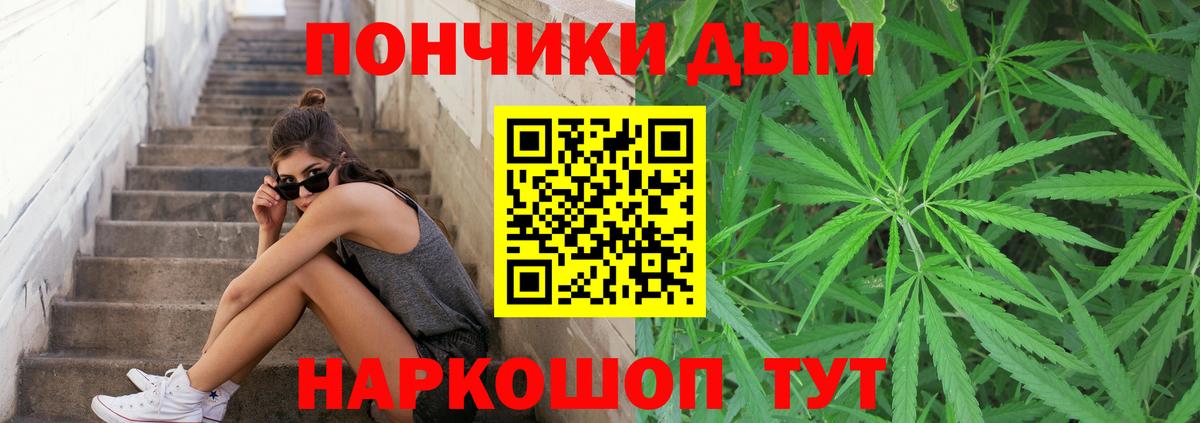 Каннабис конопля Архангельск